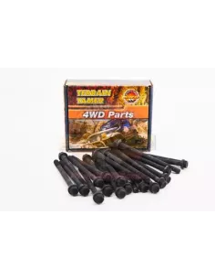 KIT DE BOULONS DE CULASSE TB42 TB45 4.2L & 4.5L ESSENCE