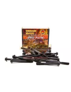 KIT DE BOULONS DE CULASSE TD42 TD42T Terrain Tamer Nissan