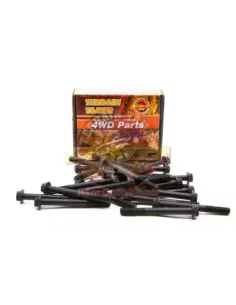 KIT DE BOULONS DE CULASSE TD42 TD42T Terrain Tamer Nissan 2