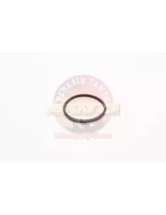 Joint torique boîtier de thermostat Terrain Tamer Toyota 2