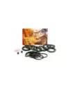 Kit d'Étrier Avant Terrain Tamer Toyota 4 Runner UZN210