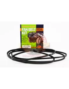 Kit courroies ventilateur, direction assistée & clim TB45E 2