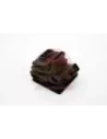 Soufflet de fourchette d'embrayage Terrain Tamer Toyota