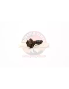 VIS POUR FOURCHETTE DE CHANGEMENT DE VITESSE Terrain Tamer 2