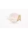 Kit goupilles et ressorts étrier avant (4 ressorts, 4