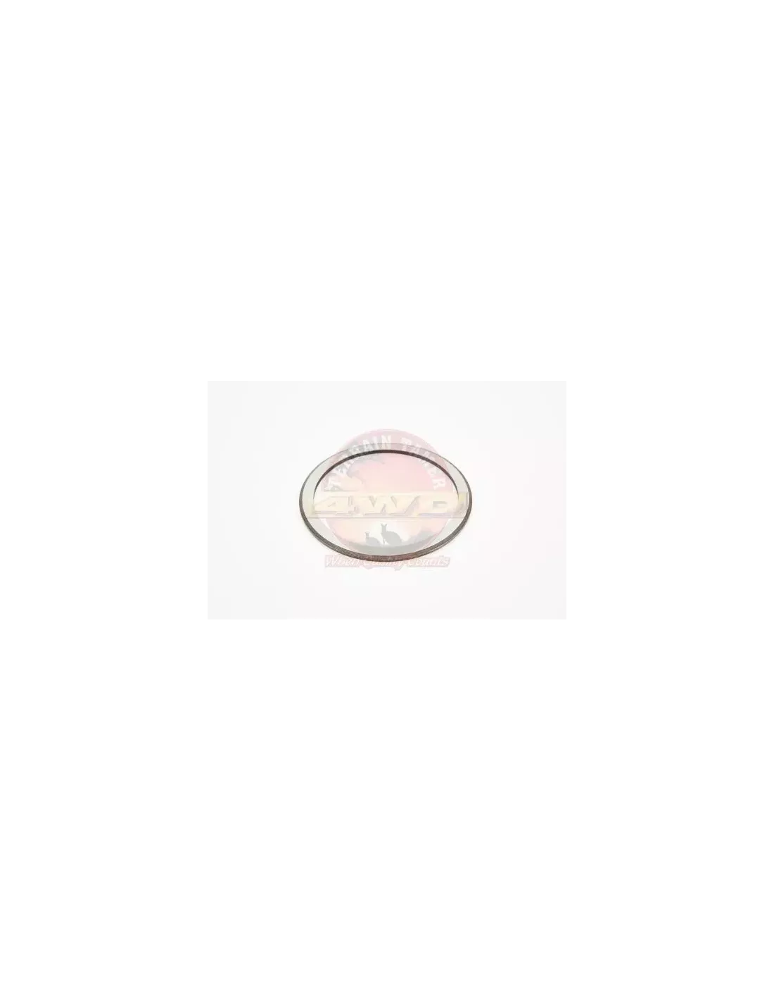 Rondelle d'appui palier latéral T 2.94 compatible Diff Lock