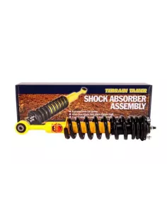 Paire d'amortisseurs combinés ressorts surélevés 40mm 100kg