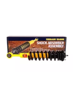 Paire d'amortisseurs combinés ressorts surélevés 40mm 100kg 2