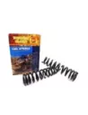 Ressorts hélicoïdaux avant surélevés 40 mm jusqu'à 100 kg