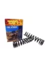 Ressorts hélicoïdaux avant surélevés 40 mm jusqu'à 100 kg