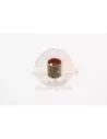 Bague bielle H L 2L Terrain Tamer Toyota Hilux LN50 11/1984+