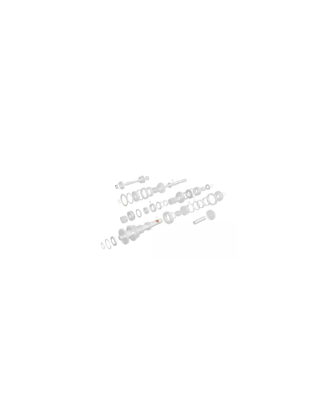 Circlip arbre d'entrée T 2.25 Terrain Tamer Toyota Hilux