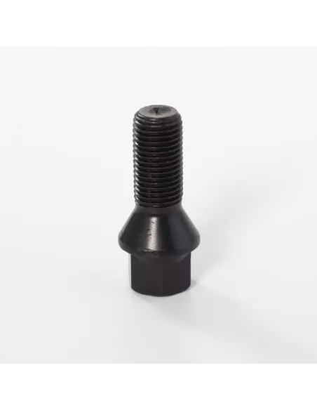 VIS 12 X 1.50 - DACIA DUSTER - BLACK - HEX17