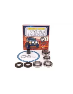 Kit révision différentiel compatible LSD incluant