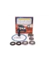 Kit révision différentiel compatible LSD incluant