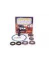 Kit révision différentiel compatible LSD incluant
