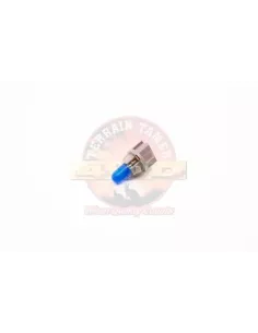 Ampoule 12V 2W pour combiné d'instruments Terrain Tamer