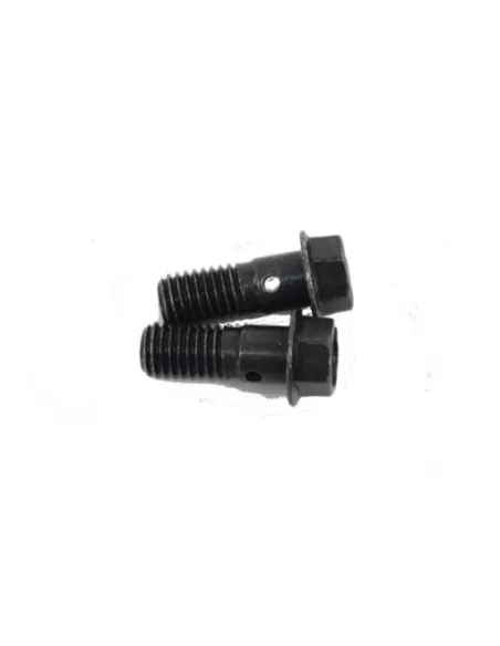 Boulon raccord tuyau d'huile entrée turbo n°2 VDJ76/78/1979