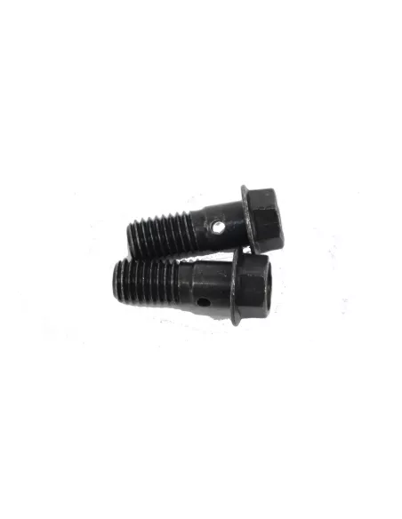 Boulon raccord tuyau d'huile entrée turbo n°2 VDJ76/78/1979