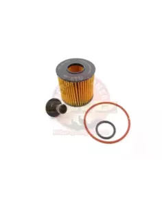 Filtre à huile (R2648P) Terrain Tamer Toyota Kluger GSU40 2