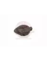Bouchon réservoir lave-glace Terrain Tamer Toyota Hilux