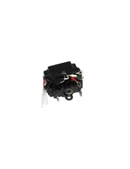 RELAIS INVERSEUR DOUBLE T MAX OUTBACK 24V (aX20)