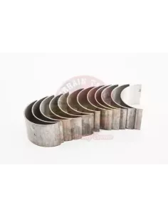 Jeu de coussinets de bielle standard pour 2F Terrain Tamer