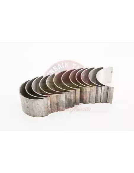 Jeu de coussinets de bielle standard pour 2F Terrain Tamer