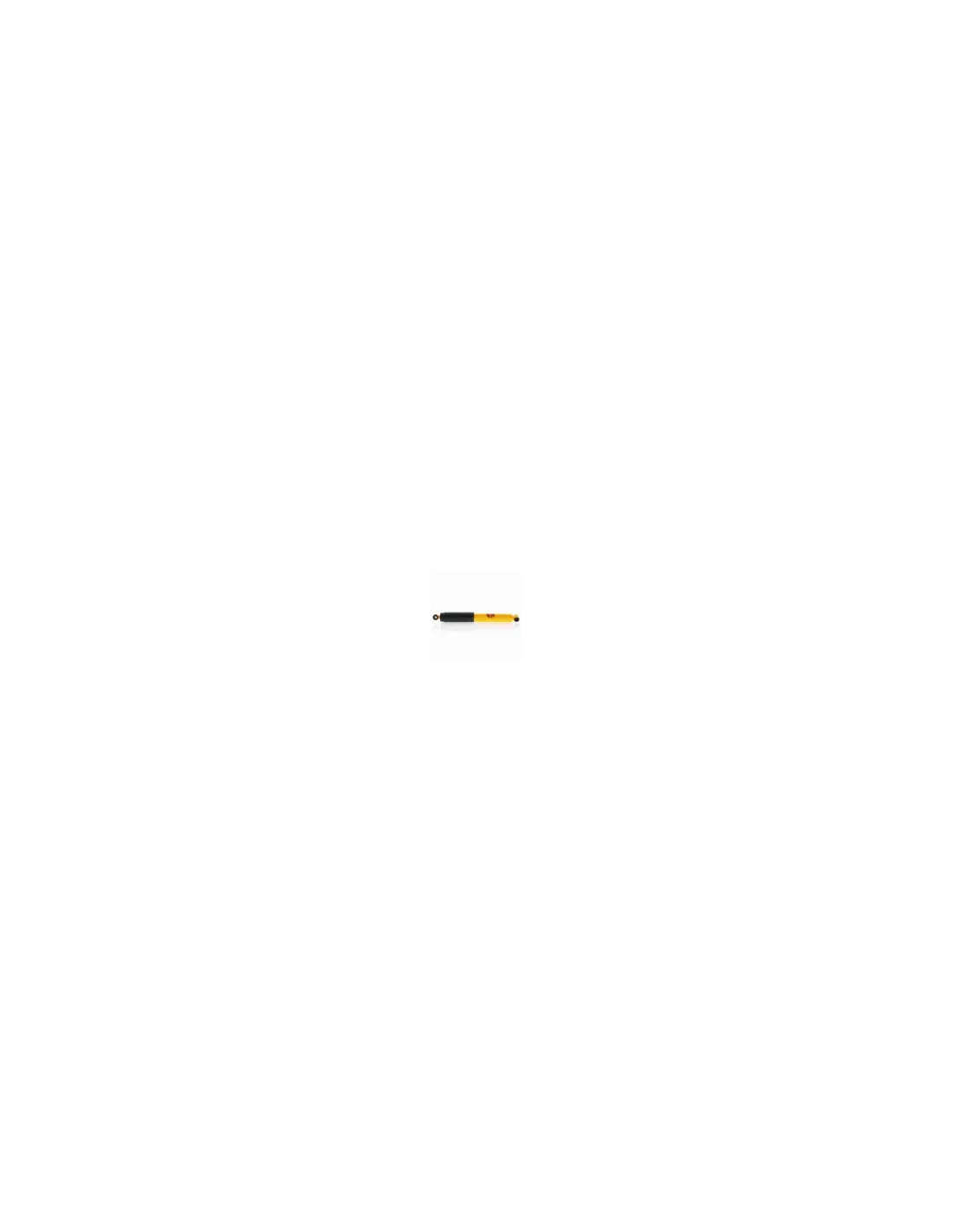 Amortisseur arrière HZB50 Terrain Tamer Toyota Coaster BB42