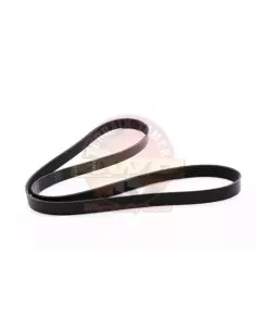 Kit Courroie Ventilateur YS23DT 2.3L Terrain Tamer Nissan