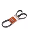Courroie d'accessoires YS23DDT 2.3L Terrain Tamer Nissan