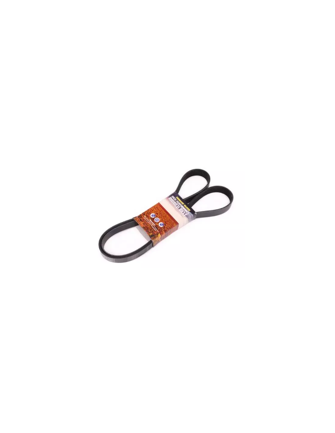 Courroie d'accessoires YS23DDT 2.3L Terrain Tamer Nissan