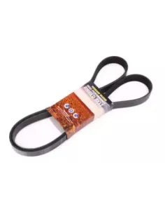 Courroie d'accessoires YS23DDT 2.3L Terrain Tamer Nissan 2