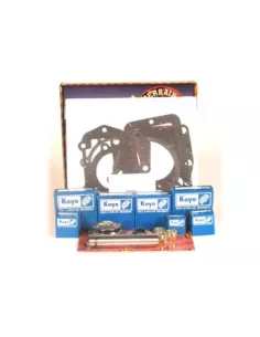 Kit de remise à neuf Boîte de transfert Terrain Tamer