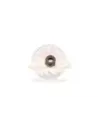 Écrou tige de barre stabilisatrice supérieure arrière