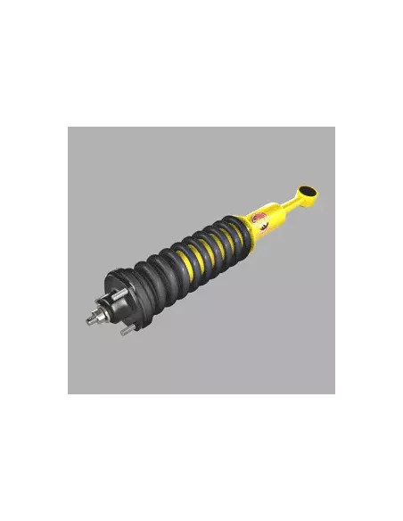 Paire amortisseurs Coil Over relevés 40mm charge 100kg+
