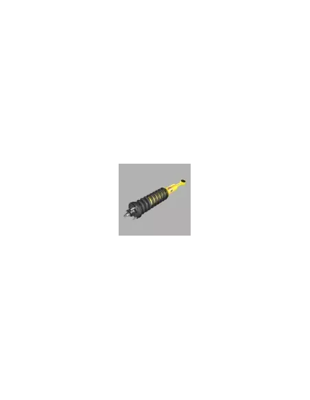 Paire amortisseurs Coil Over relevés 40mm charge 100kg+