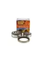 Kit roulement de roue avant jusqu'à 07/1999 Terrain Tamer
