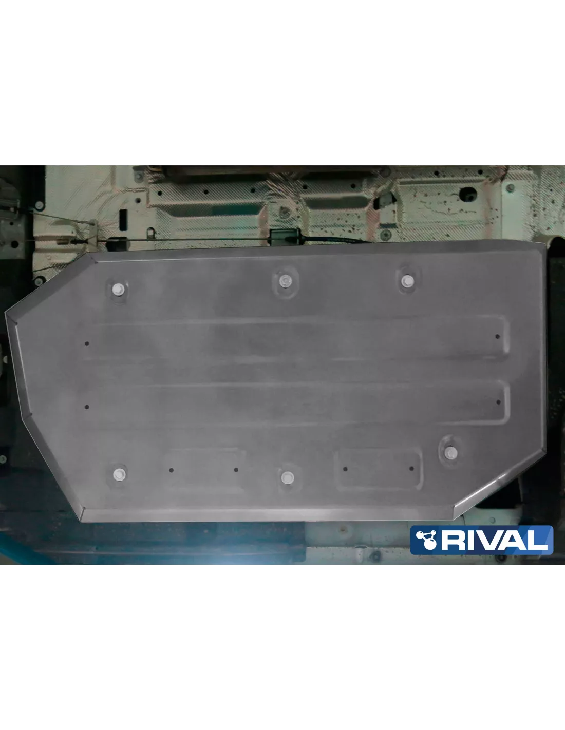 PLAQUE PROTECTION RIVAL RESERVOIR VW T5/T6 (bP31)