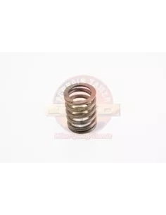 Ressort de soupape Terrain Tamer Toyota Land Cruiser LJ70