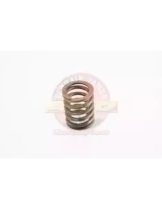 Ressort de soupape Terrain Tamer Toyota Land Cruiser LJ70 2