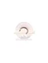 Circlips arbre secondaire arrière T 2.85 Terrain Tamer