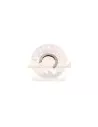 Circlips arbre secondaire arrière T 2.85 Terrain Tamer