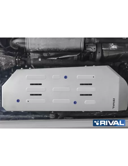PLAQUE PROTECTION RIVAL RESERVOIR KDJ 150 2009- (bN11)
