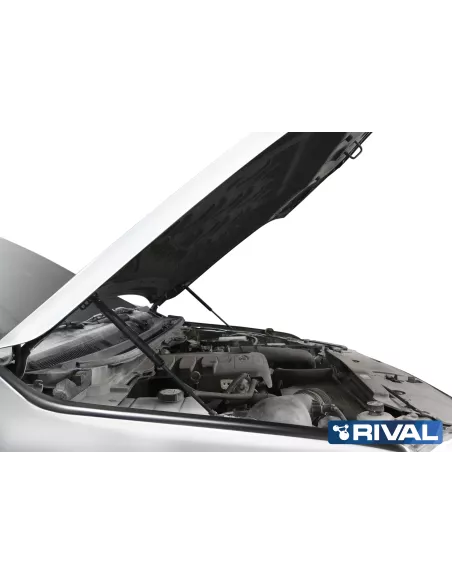 VERIN CAPOT RIVAL FORD RANGER 2011- (bQ11)