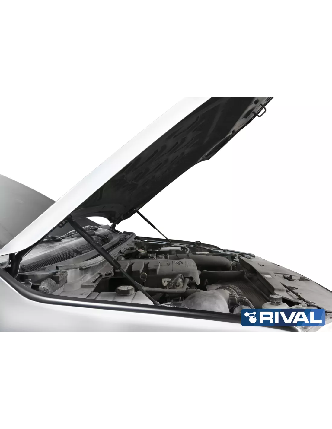 VERIN CAPOT RIVAL FORD RANGER 2011- (bQ11)