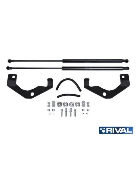 VERIN CAPOT RIVAL TOYOTA HILUX REVO 2015- (bQ11)