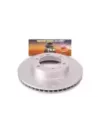 Disque de frein avant rainuré et festonné Terrain Tamer