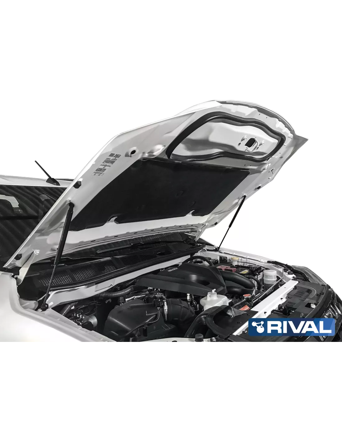 VERIN CAPOT RIVAL ISUZU D-MAX 2021-2023 (bQ11)