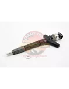 Injecteur complet 1VDFTV sous couvre-culasse /78/1979 Terrai 2